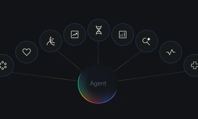 Google muốn Gemini có thể thay đổi cách nhân loại làm khoa học - Ảnh 1.