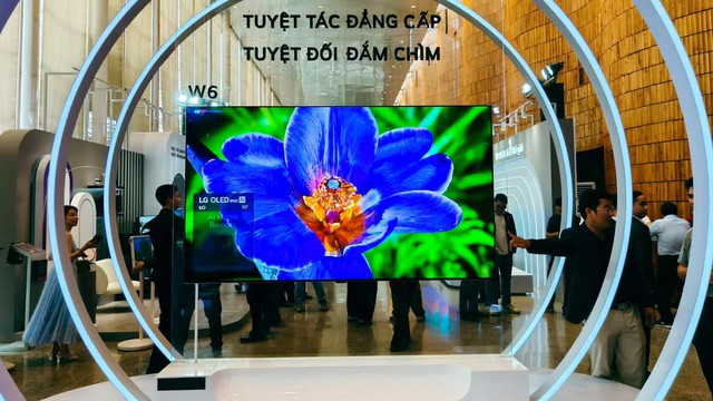 LG chính thức bác bỏ tin đồn bán mảng TV cho Hisense - Ảnh 1.