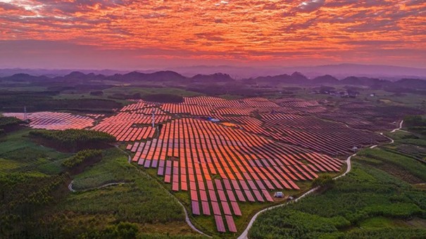 Ngành công nghiệp tấm pin năng lượng mặt trời của Trung Hoa lâm vào bất ổn